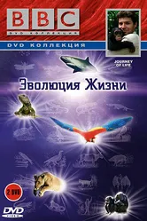 BBC: Эволюция жизни 2005 постер