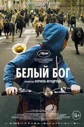 Белый Бог 2014 постер