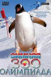 BBC: Зимняя Зоо олимпиада 2006 постер