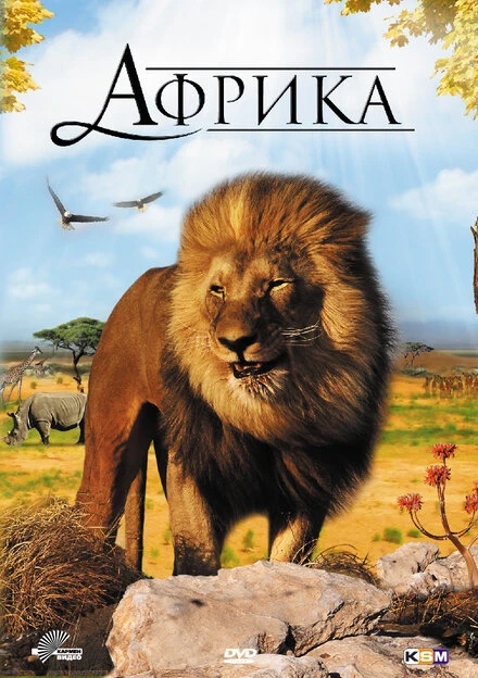 Постер Африка 3D 2011