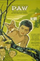 Пау 1959 постер