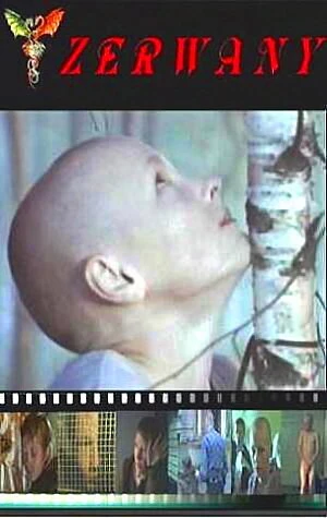 Постер Сломленный 2003