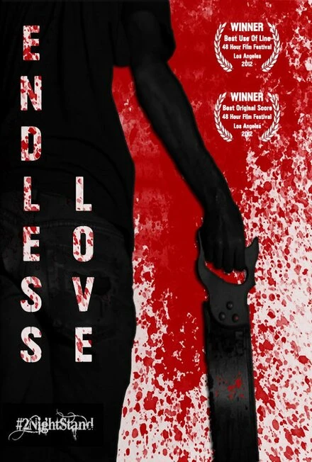 Постер Endless Love 2012