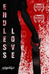 Endless Love 2012 постер