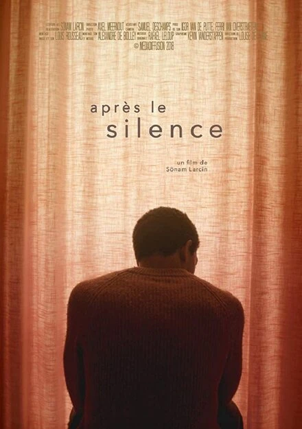 Постер After the silence
