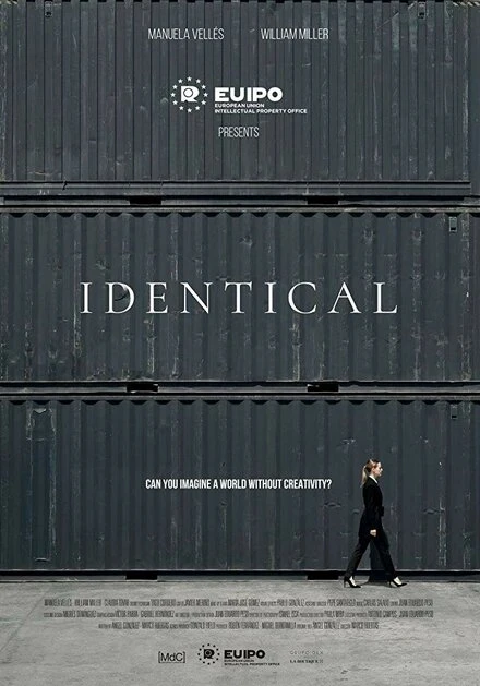 Постер IPdentical