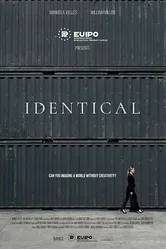 IPdentical постер