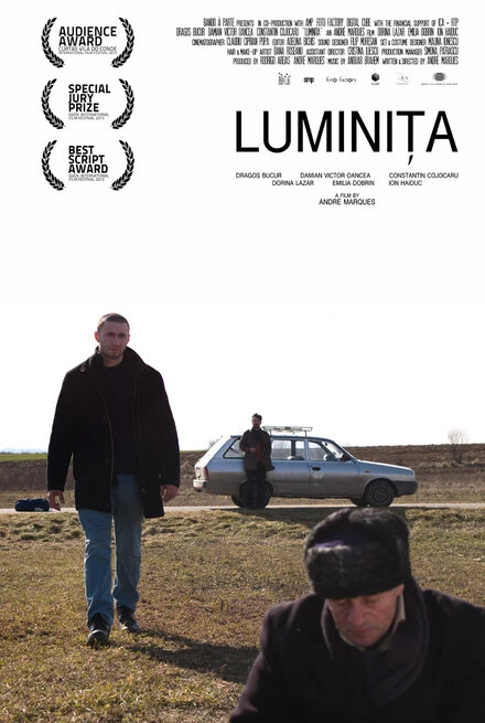 Постер Луминита 2013