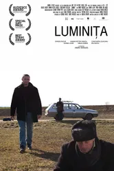 Луминита 2013 постер