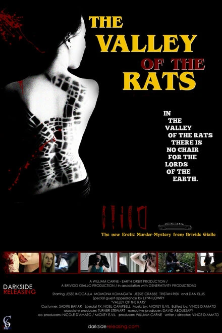 Постер The Valley of the Rats