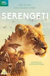 BBC: Серенгети 2019 постер