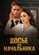 Досье на начальника постер
