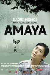 Гонконг, конфиденциально 2010 постер
