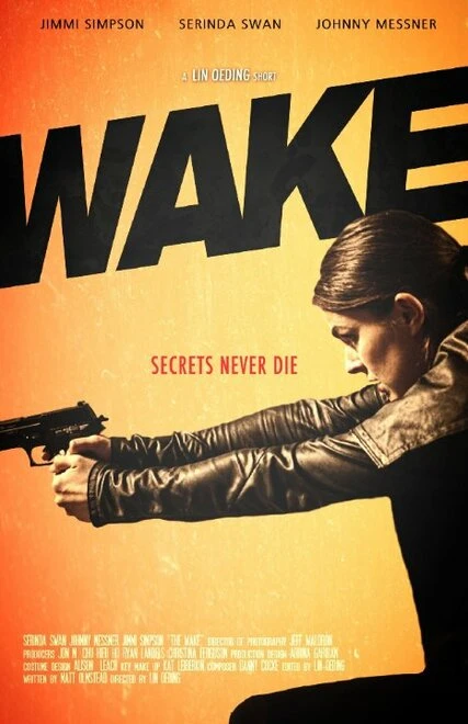 Постер Wake 2012