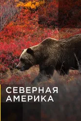 Северная Америка 2011 постер