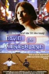 Давид в стране чудес 1998 постер