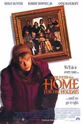 Домой на праздники 1995 постер