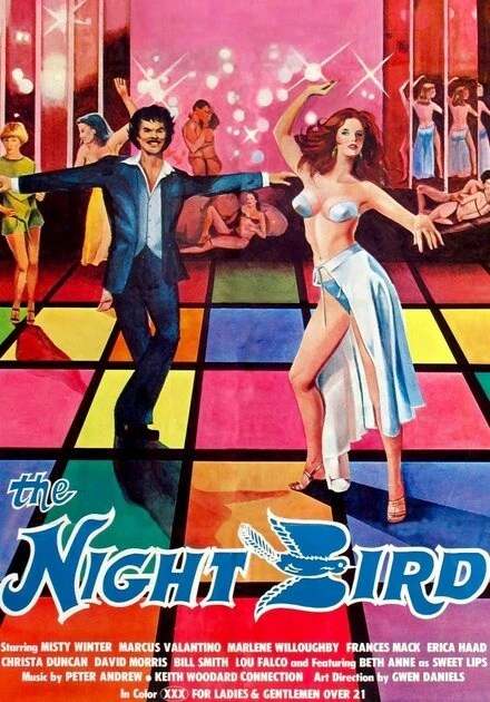 Постер The Night Bird 1977