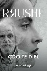 Rrushe постер