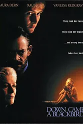 И спустился ворон 1995 постер