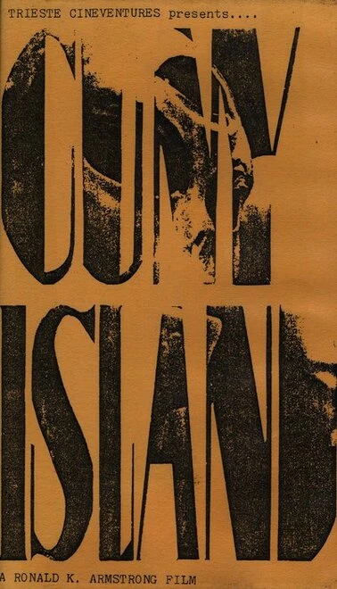 Постер Cuny Island