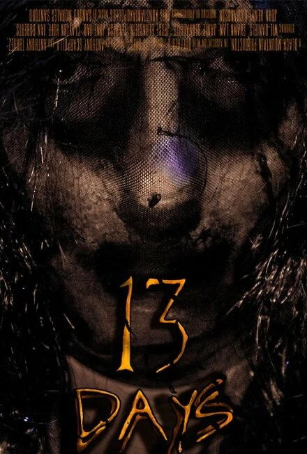 Постер 13 Days 2016