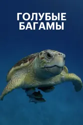 Голубые Багамы 2015 постер