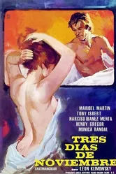 Три дня в ноябре 1977 постер