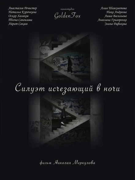Постер Силуэт, исчезающий в ночи 2022