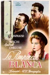 La primula bianca постер