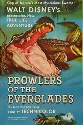Prowlers of the Everglades постер