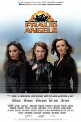 Fraud Angels постер