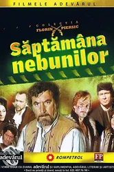 Неделя безумных 1971 постер
