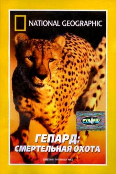 Постер Гепард: Смертельная охота 2002