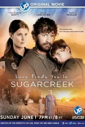 Love Finds You in Sugarcreek постер