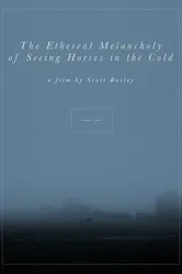 The Ethereal Melancholy of Seeing Horses in the Cold постер