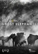 Слоны-призраки постер