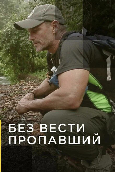 Постер Без вести пропавший 2016