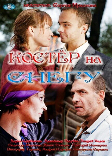 Постер Костер на снегу 2012