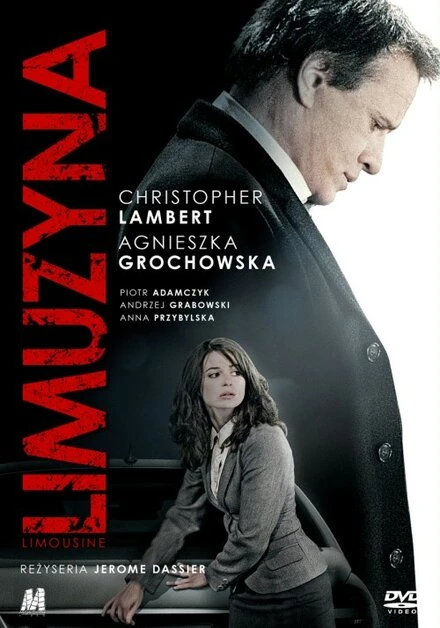 Постер Лимузин 2008