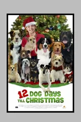 12 Dog Days of Christmas постер