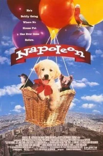 Постер Наполеон 1995