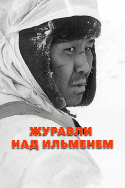 Постер Журавли над Ильменем 2005