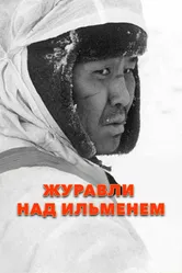 Журавли над Ильменем 2005 постер