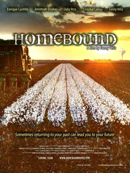 Постер Homebound 2013
