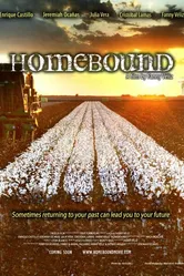 Homebound 2013 постер