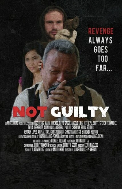 Постер Not Guilty 2014
