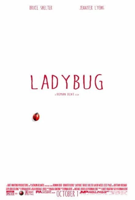 Постер Ladybug 2014