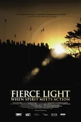 Fierce Light: When Spirit Meets Action постер