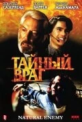 Постер Тайный враг 1996